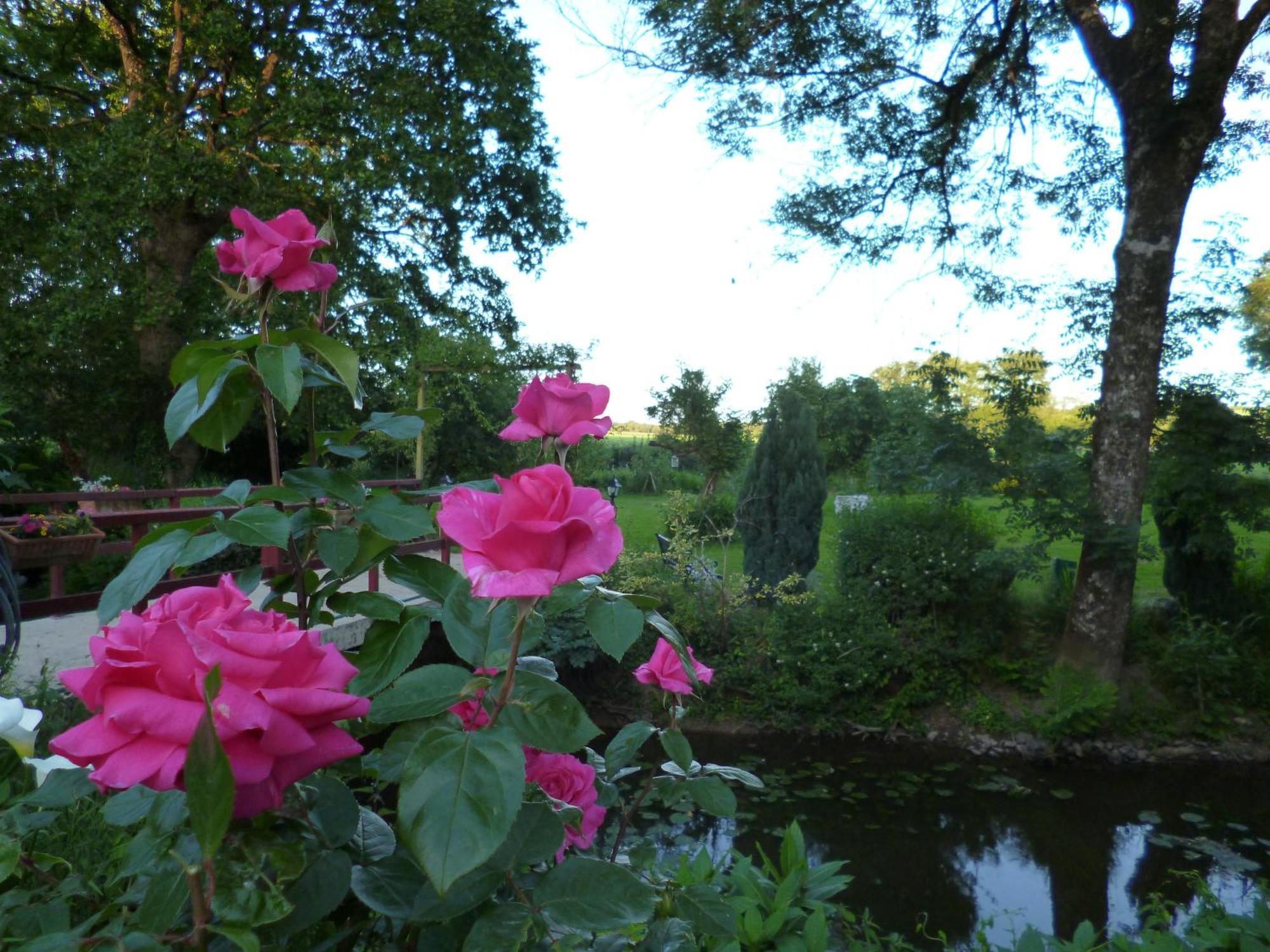 Le Moulin Du Bignon Bed & Breakfast Lassy Eksteriør bilde